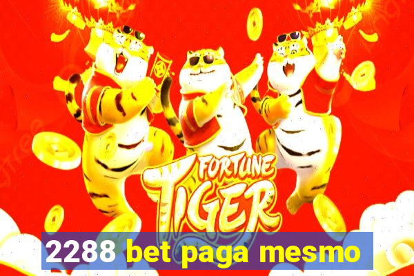 2288 bet paga mesmo